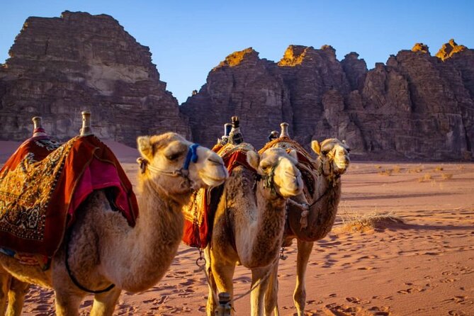 07 days and 06 nights Jordan Jewels - Wadi Rum: two hours by 4x4, then a night outside