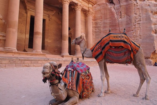 2 Day 1 Night Wadi Rum (Overnight) & Petra Shore Excursion - Key points to know before you book