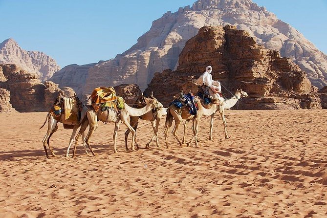 2 Day 1 Night Wadi Rum (Overnight) & Petra Shore Excursion - Day two: entering Petra through the Siq