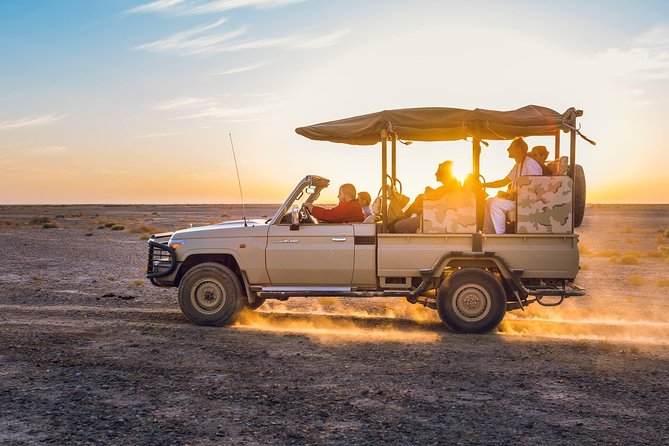 2-Day Private Tours in Jordan: Petra, Wadi Rum, and Dead Sea from Amman - A local 4WD ride through Wadi Rum