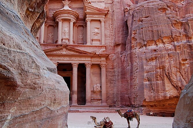 2-Day Tour: Petra, Wadi Rum, and 3Hour Stop at Aqaba or Dead Sea - The driver makes the difference