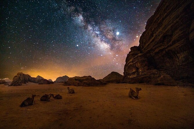 2-Day Tour to Petra, Wadi Rum, Wadi Mujib, Aqaba, and Dead Sea - Petra in six hours, from the Siq to the Monastery