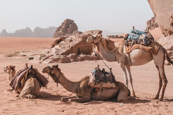 2 Days Tour | Petra, Wadi Rum & Dead Sea | Accommodation included - The long drives and why private transport helps