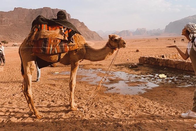 2 Hour Jeep Tour - Wadi Rum Desert & Canyon - Lawrence’s Spring and the Best Wide Views