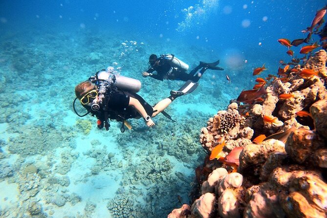 2-Hour Private Scuba Experience in Aqaba - The shore entry and what it means for comfort