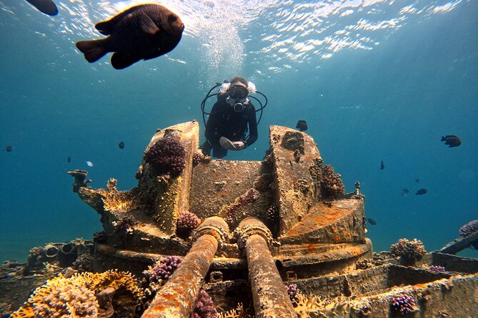 2-Hour Private Scuba Experience in Aqaba - What the $45 price really includes
