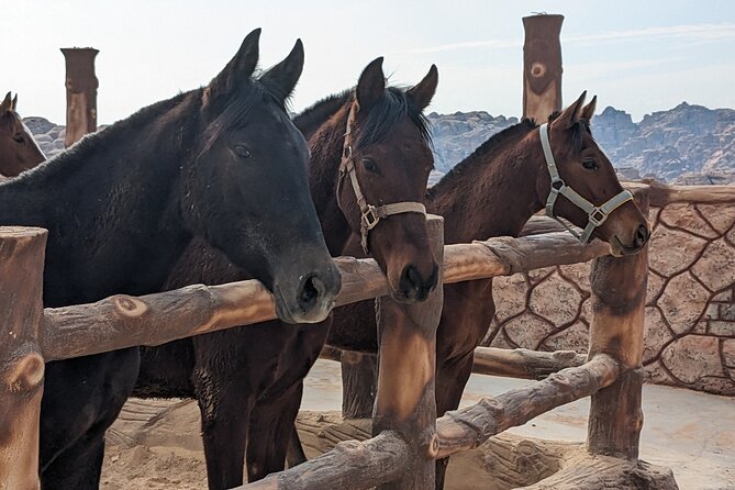 2 Hour Trail Ride to Little Petra-Morning or Sunset - Following the backroads toward Little Petra