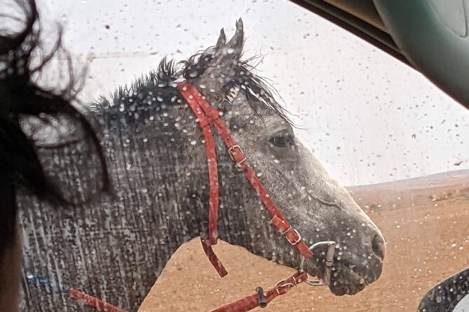 2 Hour Trail Ride to Little Petra-Morning or Sunset - What Little Petra adds to the ride