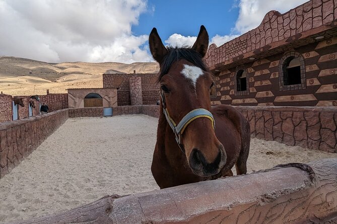 2 Hour Trail Ride to Little Petra-Morning or Sunset - Morning or sunset: choosing the better departure