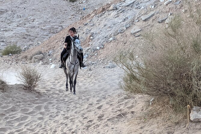 2 Hour Trail Ride to Little Petra-Morning or Sunset - Who will enjoy this ride most?