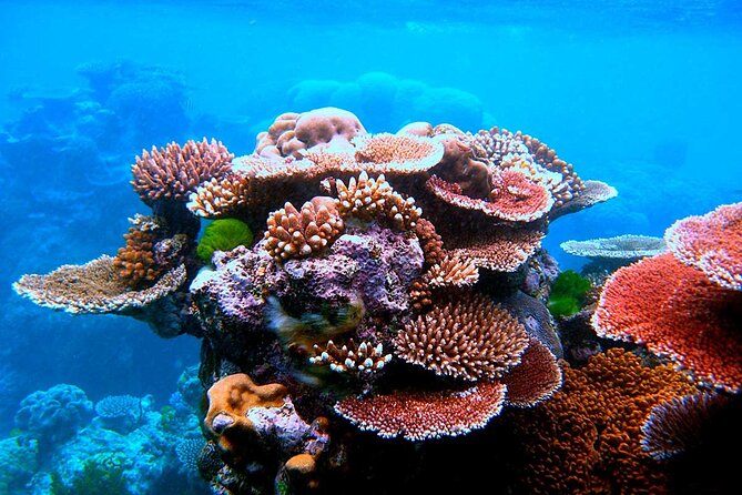 2 To 5 Hours Glass Bottom Boat Private Tour At Read Sea - Seeing the Red Sea through the glass-bottom boat