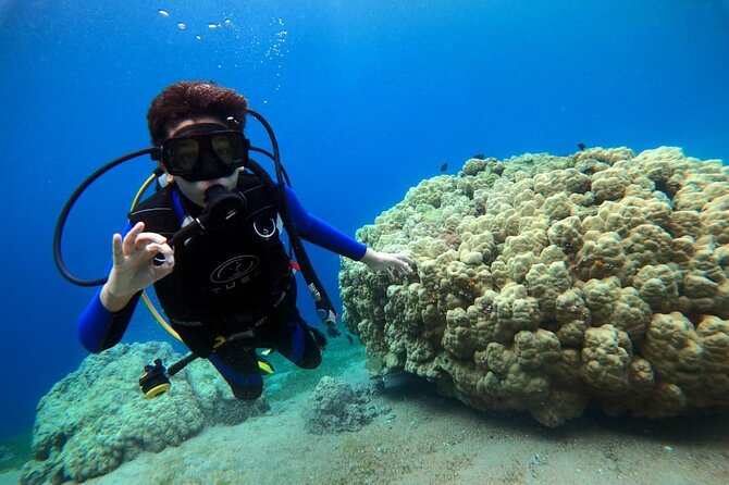 3-Day Open Water Scuba Diving Course in Aqaba - Learning scuba in Aqaba, not just taking a quick swim