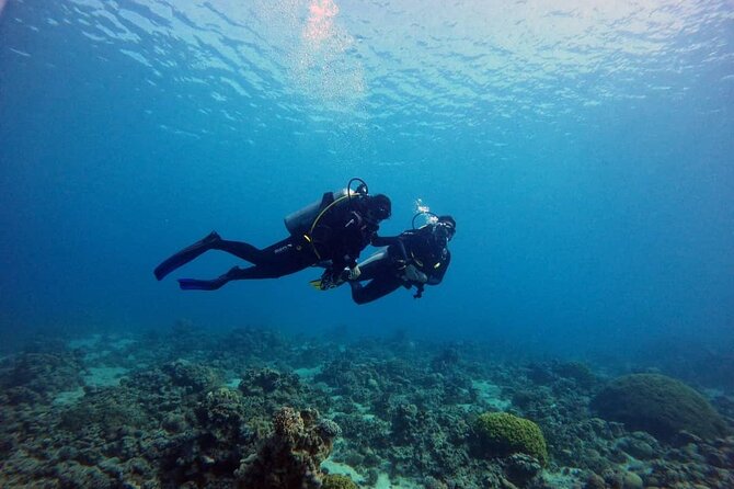 3-Day Open Water Scuba Diving Course in Aqaba - The instructors and the tone of the teaching