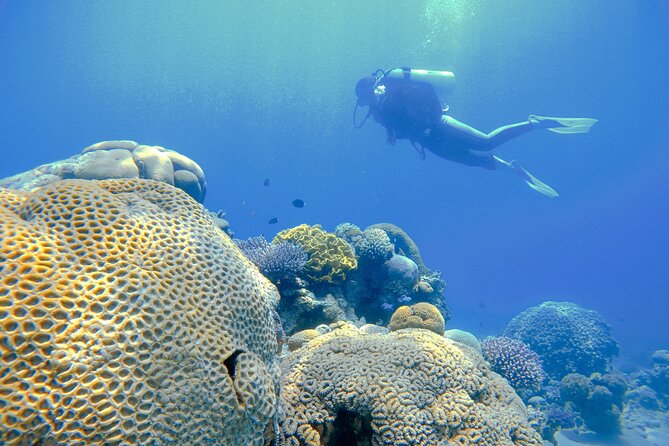 3-Day Open Water Scuba Diving Course in Aqaba - Practical details that can affect your day