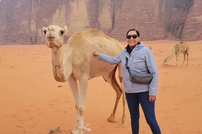 3-Day Tour from Amman: Jerash, Ajloun, Petra, Wadi Rum & Dead SEA - The Dead Sea on day three
