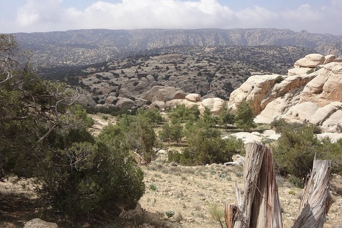 3 Days Jordan Fun & Activity Tour - The $880.93 price: where the value sits