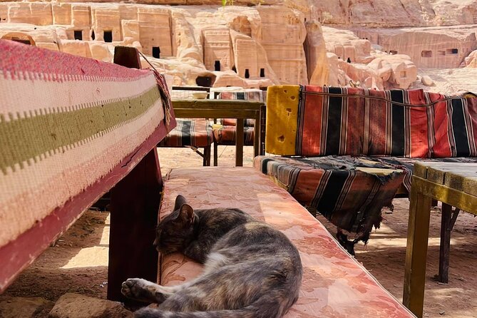3 Epic Nights in South Jordan exploring with the locals. - Day four: a short transfer back to Petra