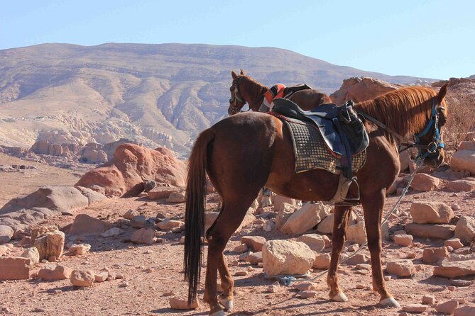 3 Hour Horse Riding Adventure around the Petra Area - Leaving Wadi Musa for Little Petra