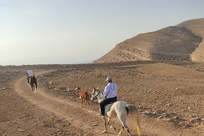 3 Hour Horse Riding Adventure around the Petra Area - Safety, riding ability, and what to bring