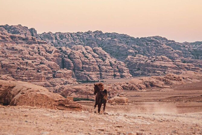 3 Hour Horse Riding Adventure around the Petra Area - Who will enjoy this Petra ride