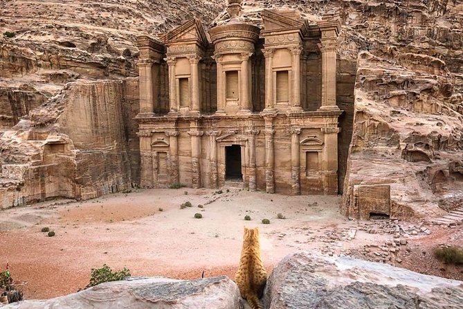 3Days Tour Petra & Wadi Rum from Amman, Dead Sea OR Amman Airport - The real cost of the Petra and Wadi Rum package
