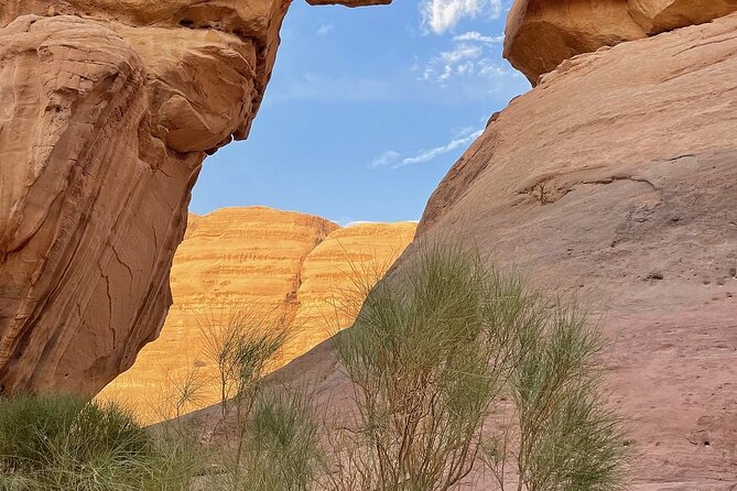 4 Hour Jeep Tour Wadi Rum Desert Highlights (morning or sunset) - Lawrence Spring, where camels find water