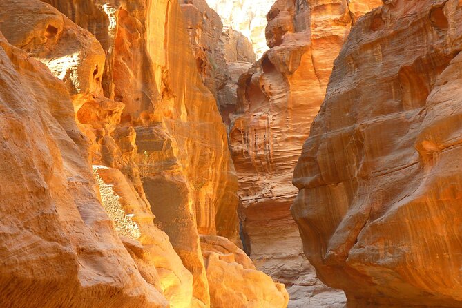 5-Day Private Jordan Tour: Petra, Wadi Rum and the Dead Sea from Amman - Transport, hotels, and what the price covers