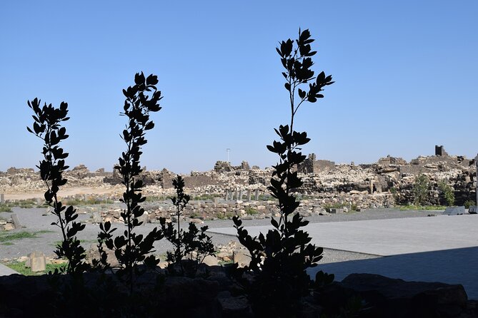 5-Desert Castles of Jordan Full-Day Private Tour from Amman - Cancellation and booking details