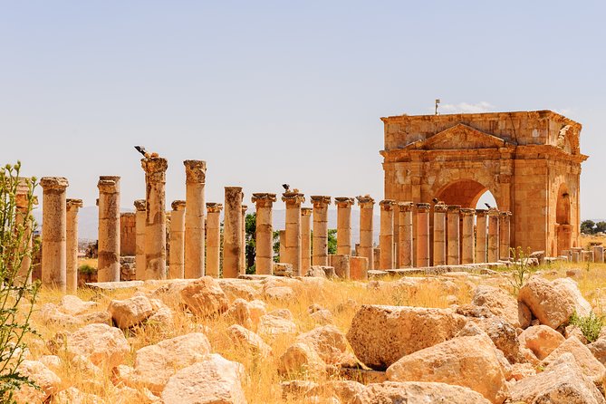 6-Night Best of Jordan Tour from Amman: Jerash, Dead Sea, Petra, and Wadi Rum - Hotels, meals, and the real value of $933.57