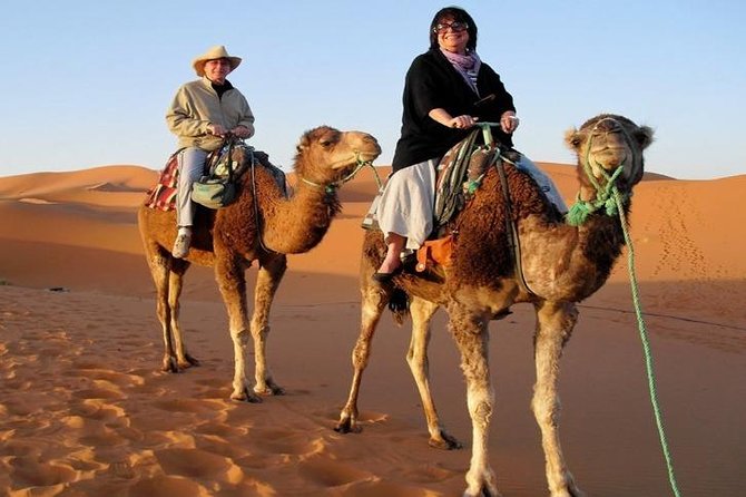 7-Day Private Tour, Explore Jordan's Glamour - The practical strengths of a private driver