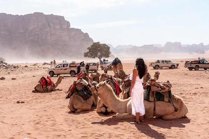 7-Day Super Luxury Tour By Toyota Land Cruiser - Day 5: Six hours among the rocks of Petra