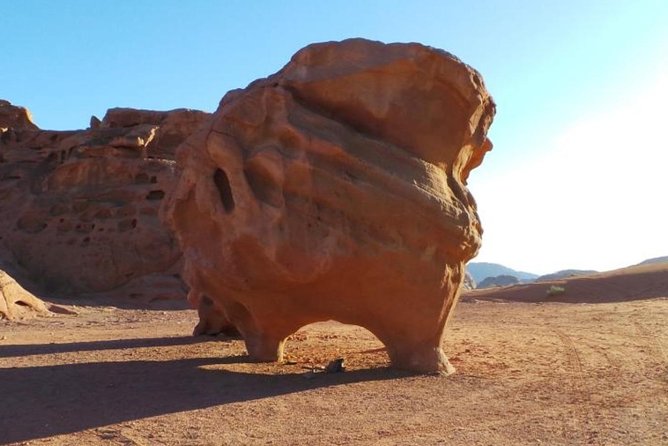 8-Day Private Tour, Jordan's Ability - Customizable - Day 5: Petra on foot, then Wadi Rum by Jeep