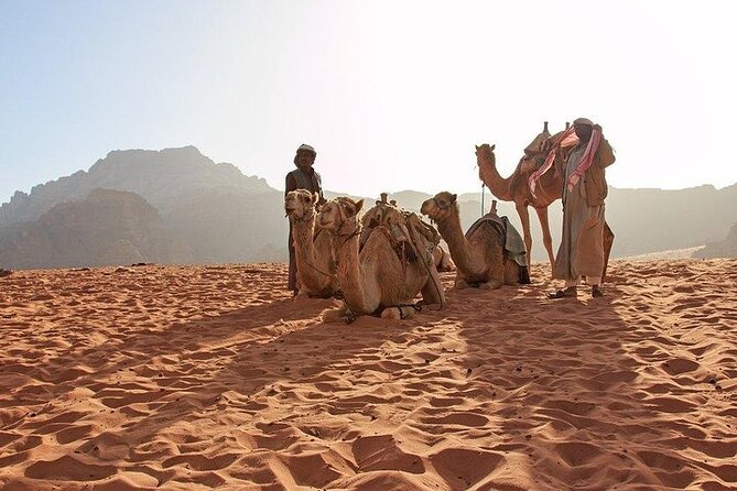 8 Days Jordan Tour: Petra, Wadi Rum, Aqaba - Day 5: Jebel Al Hash, the White Desert, and Qatar Spring