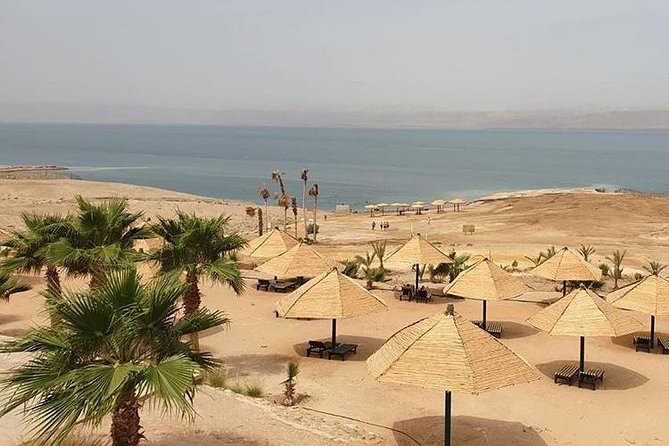 Airport to Dead Sea Transfer (private shuttle) - Meeting your English-fluent driver at the airport