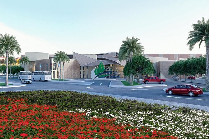 Airport Transfer To The Dead Sea - Who should book this Dead Sea transfer?
