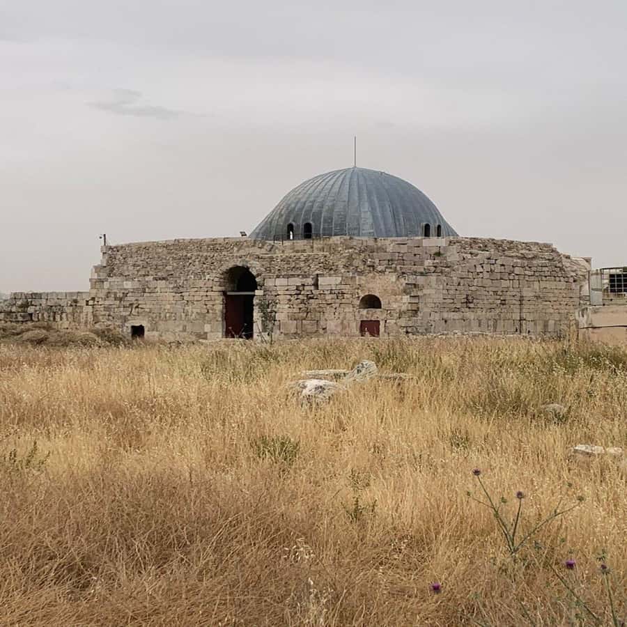 Amman City Tour From Amman - A smart first look at Amman