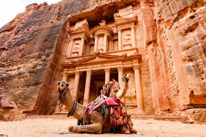 Amman Petra Full-Day Trip - Why private transport is the main advantage