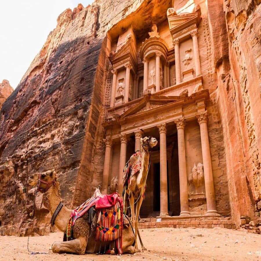 Amman Private Tour Petra Wadi Rum And Dead Sea 2day Bubble - Petra in three hours, from the Siq to the Monastery