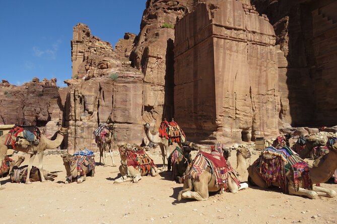 Amman to Petra round trip - Self-guided Petra or local guide?