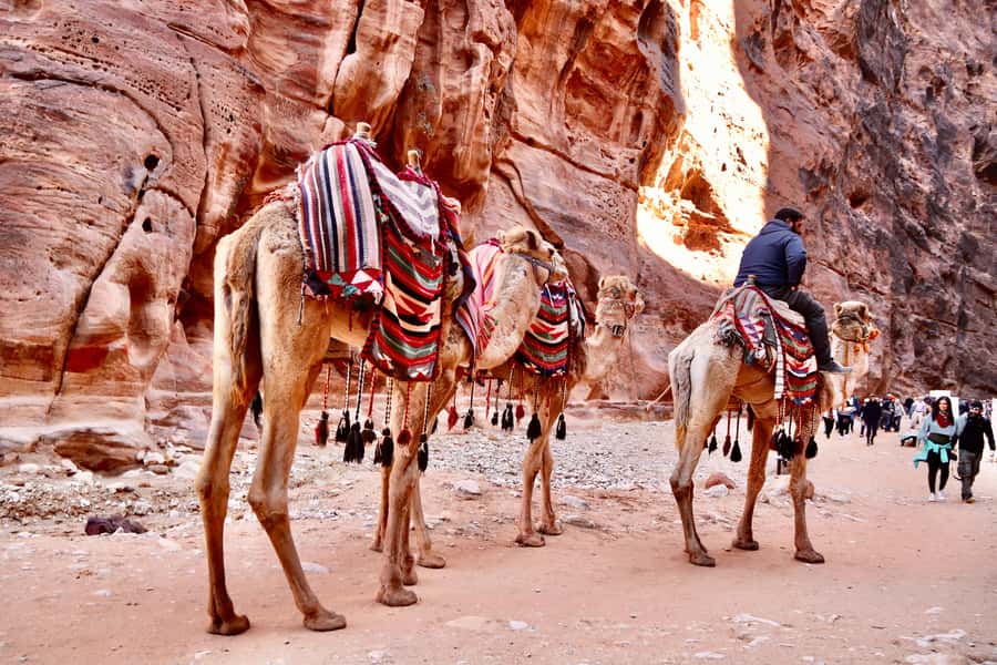 Amman to Petra Wadi Rum Dead Sea 2 or 3 Days Private Tour - Two days or three days?