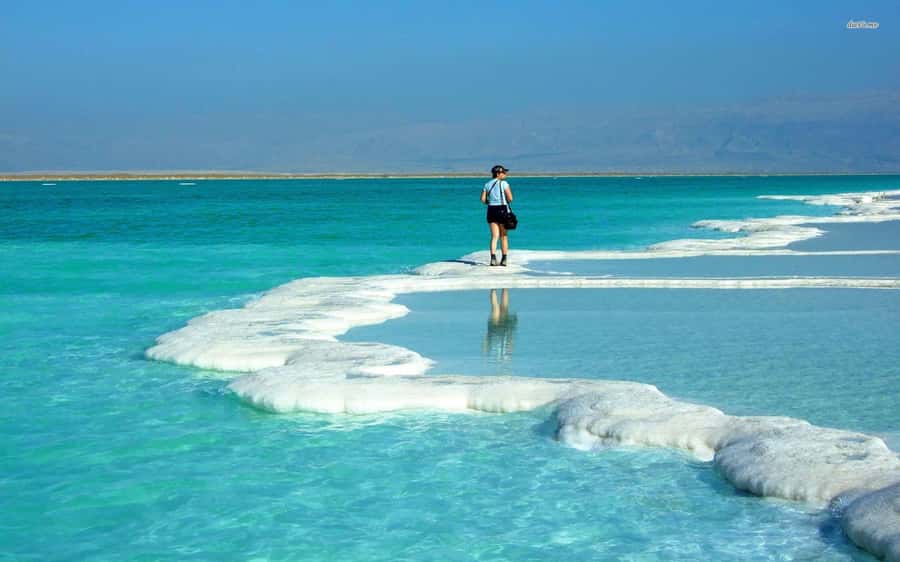 Amman to Petra Wadi Rum Dead Sea 2 or 3 Days Private Tour - The driver can shape the whole trip
