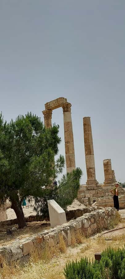 Amman Tour - The Jordan Museum in a 30-minute visit