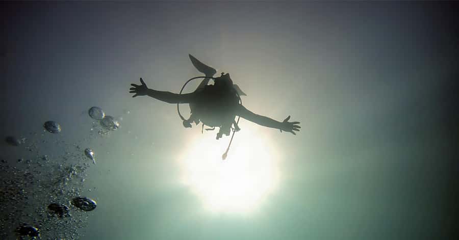 Aqaba Dive Adventure: Explore The Red Sea On A Tour - Key points to know before you book