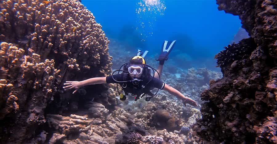 Aqaba Dive Adventure: Explore The Red Sea On A Tour - What the Aqaba scuba session is really like