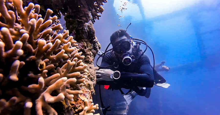 Aqaba Dive Adventure: Explore The Red Sea On A Tour - The 20-minute briefing at South Beach