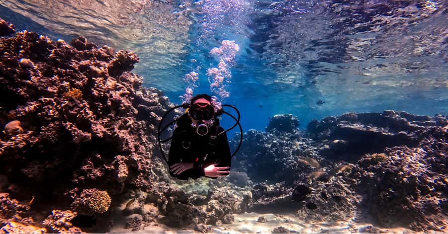 Aqaba Dive Adventure: Explore The Red Sea On A Tour - What the $51 price includes
