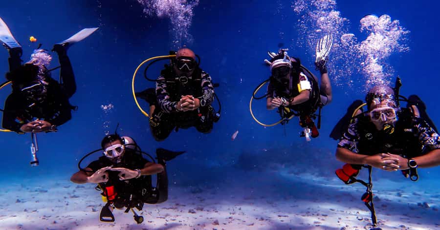 Aqaba Dive Adventure: Explore The Red Sea On A Tour - Meeting at Baghdad Street 24