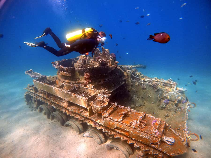 Aqaba: Private Red Sea Diving for Beginner or Experienced - What makes Aqaba’s Red Sea special