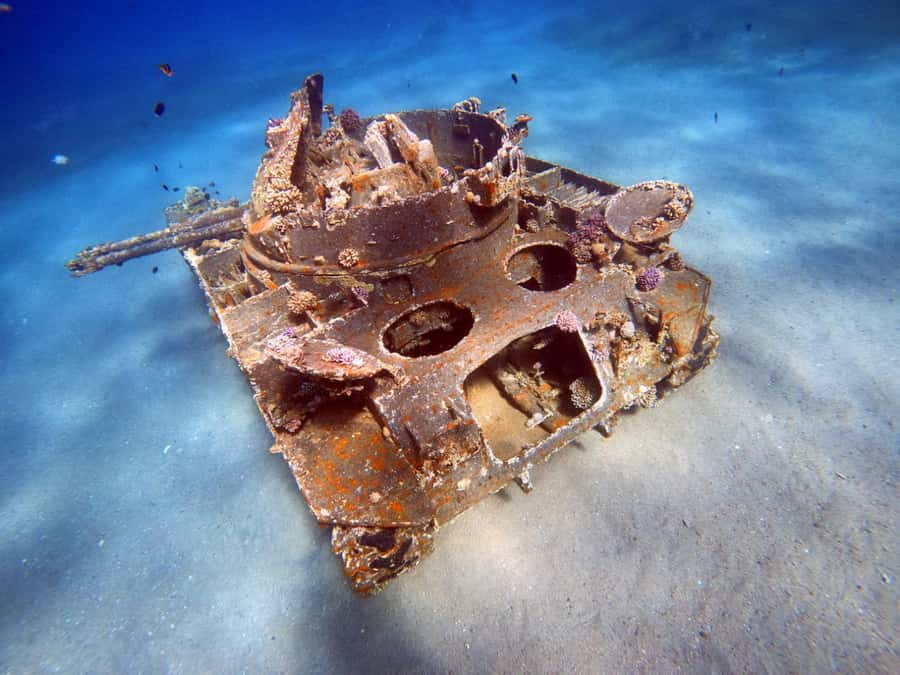 Aqaba: Private Red Sea Diving for Beginner or Experienced - The first 30 to 45 minutes: briefing, gear, and practice