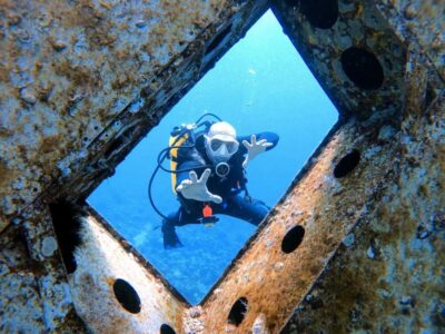 Private Red Sea Diving for Beginner or Experienced